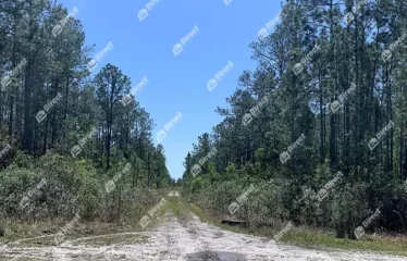 Fred Ave, Bunnell, FL 32110