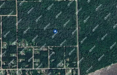 Apple Ave, Burnell, FL 32110