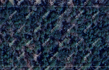 Hazel Green Rd, Quincy , FL 32352