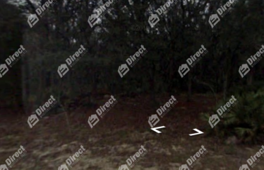 N Walker Rd, Avon Park, FL 33825